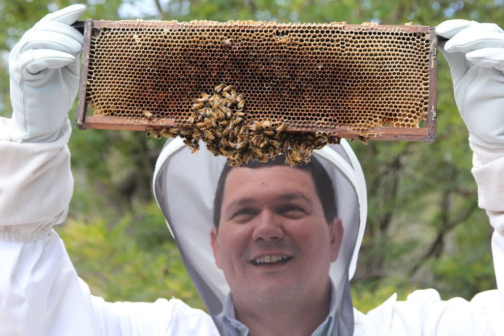 אינטל מצילה את הדבורים ברחבי העולם