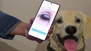 תמונה אחת של בעל החיים שלכם ומערכת Samsung Pet Care תדע לזהות בעיות בריאותיות. מקור: Samsung