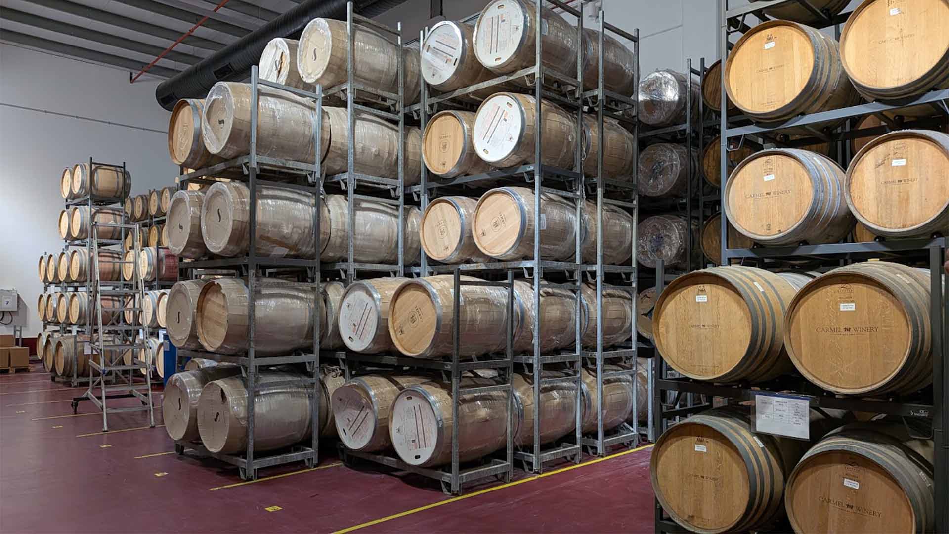 אחד מחדרי החביות ביקב כרמל אלון. צילום: שי שגב